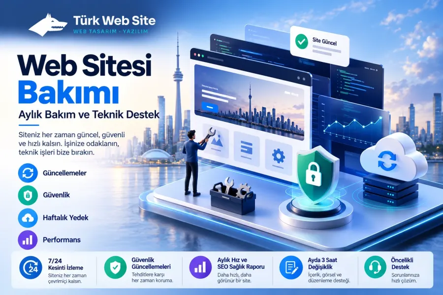 Professional Website Maintenance Plan
