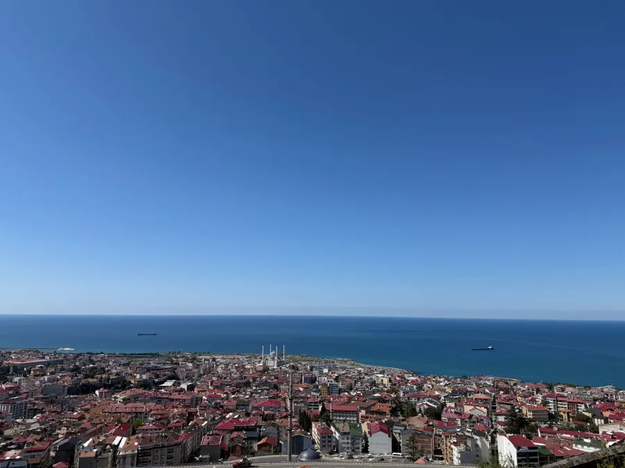 Trabzon web design