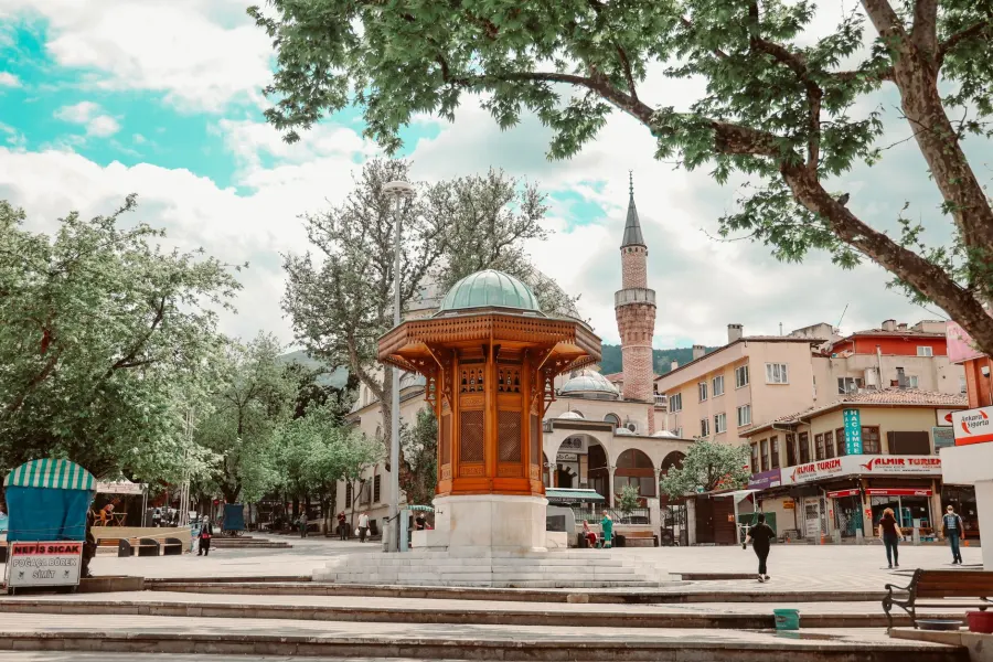 Bursa web tasarım